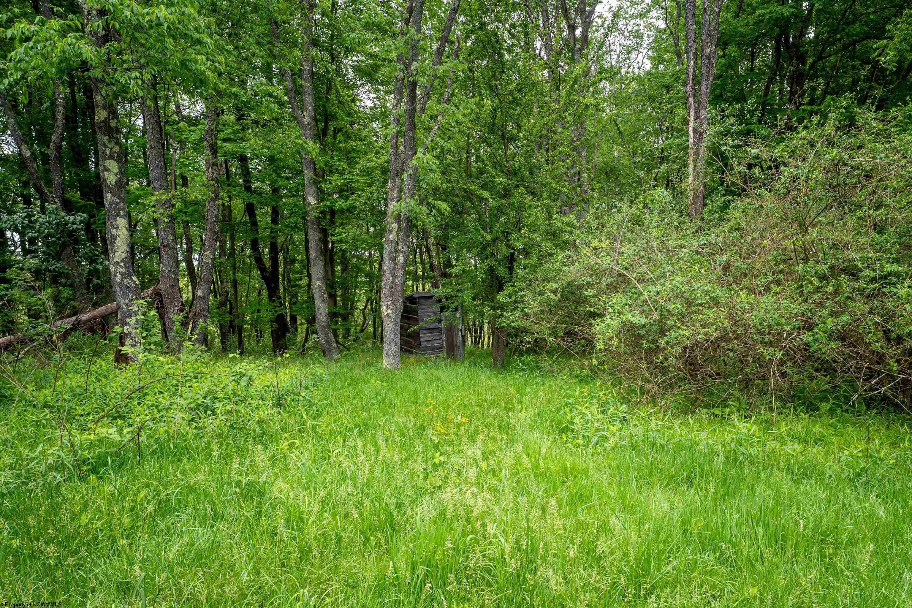 998 A Hanlin Road Bruceton Mills, WV 26525 - Photo 5 of 5 Gallery Image 5