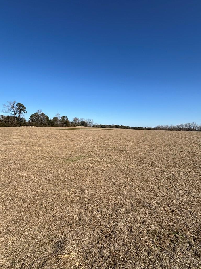 0 Cedar Springs Road Ashford, AL 36312 - Photo 2 of 7