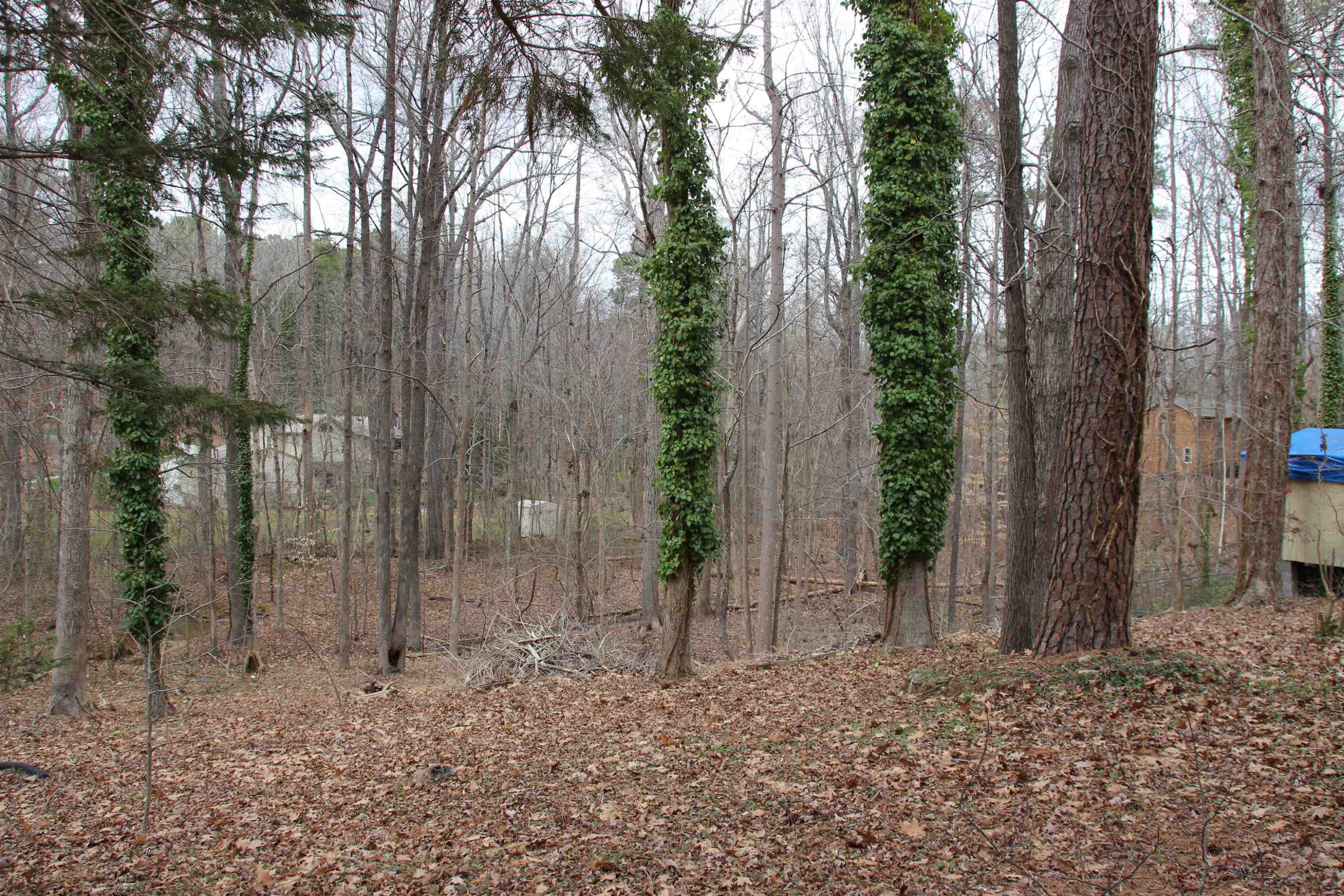 5715 Russell Road Durham, NC 27712 - Photo 46 of 49 Photo 58
