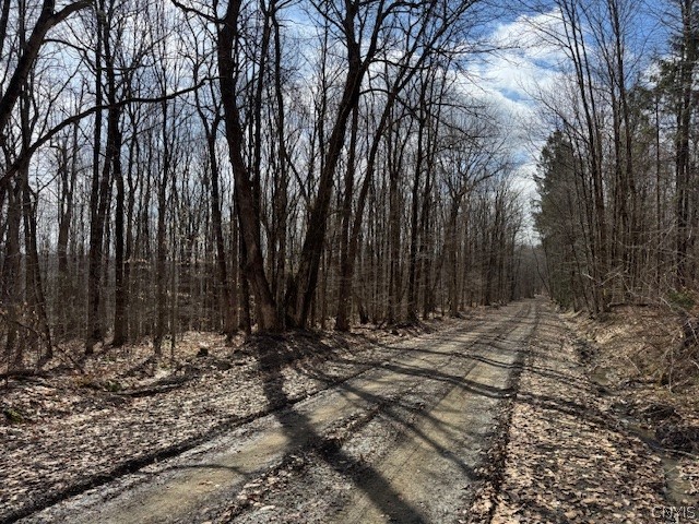 Harris Road Cincinnatus, NY 13040 - Photo 8 of 22 Gallery Image 8