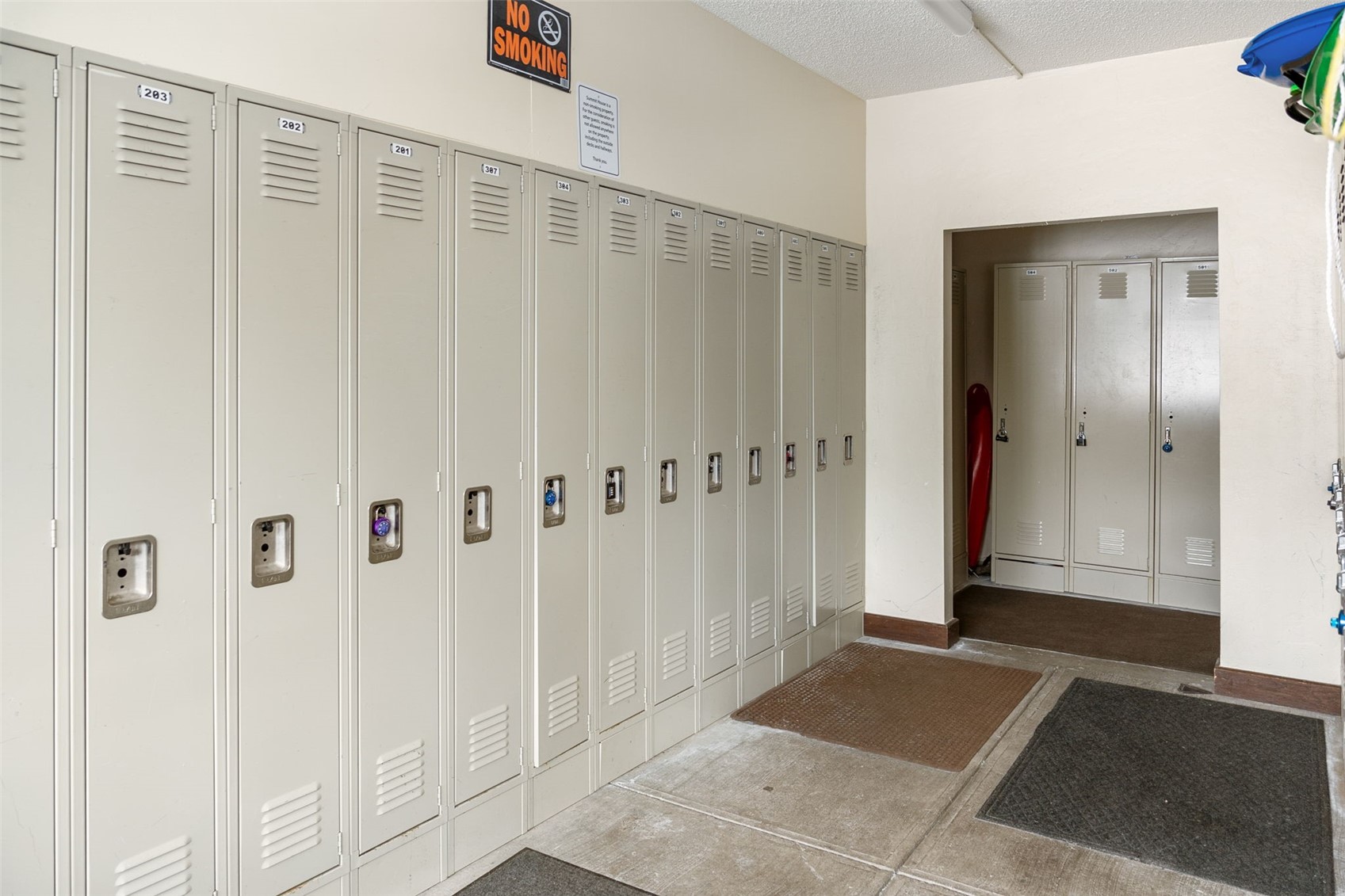 88 Guller Road, Unit 206 Frisco, CO 80443 - Photo 25 of 32 Ski locker storage!