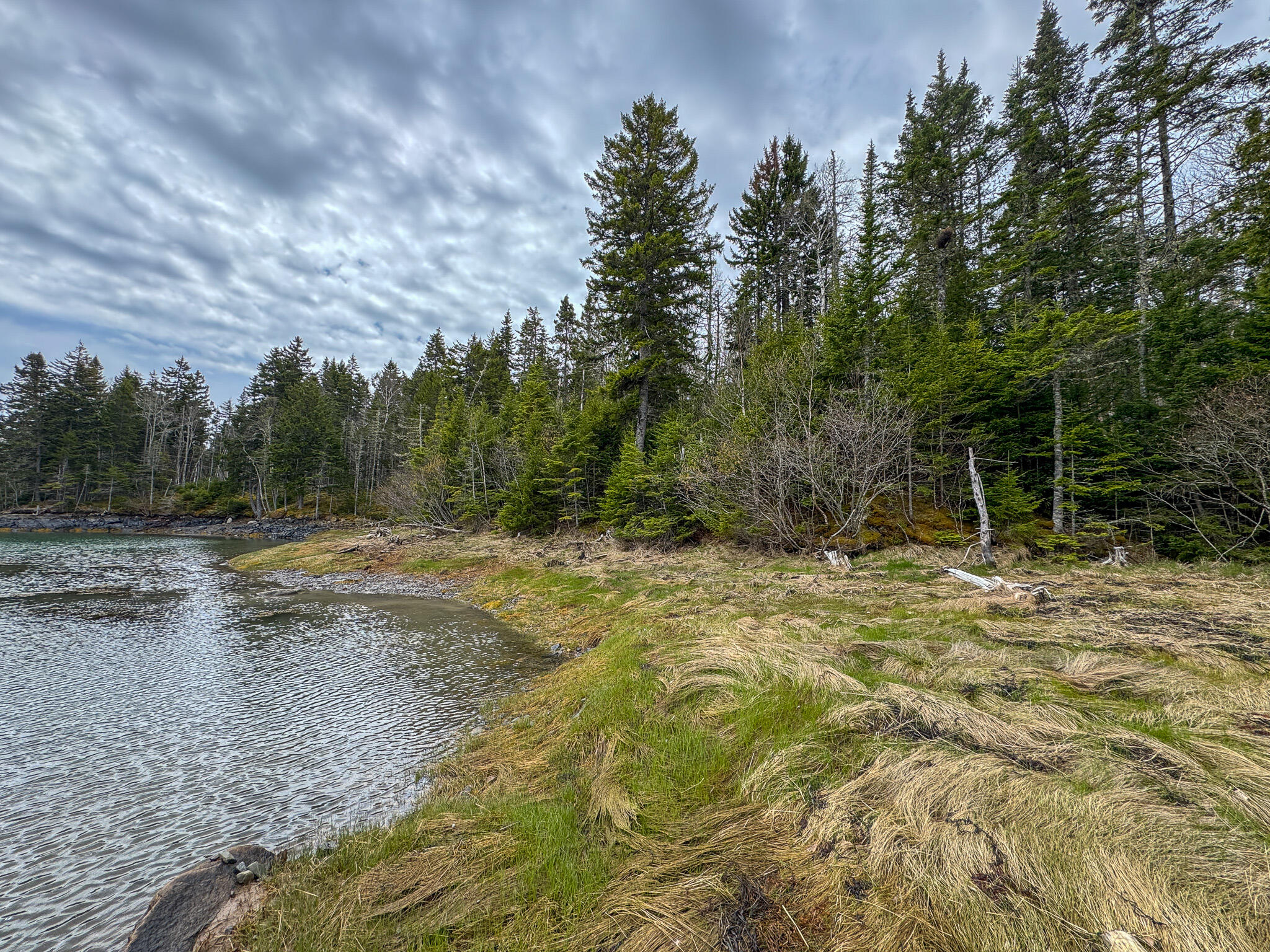 Lot 46 Yoho Head Road Machiasport, ME 04655 - Photo 19 of 22 IMG_4718