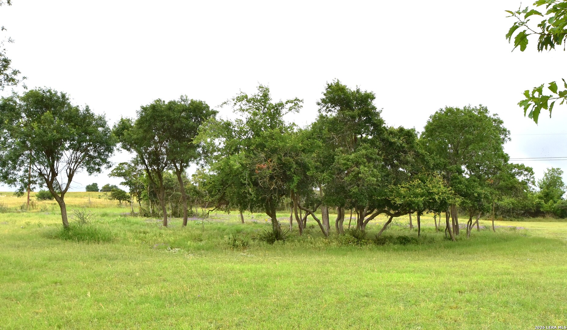 8400 Maner Road Fredericksburg, TX 78624 - Photo 34 of 34 Gallery Image 34