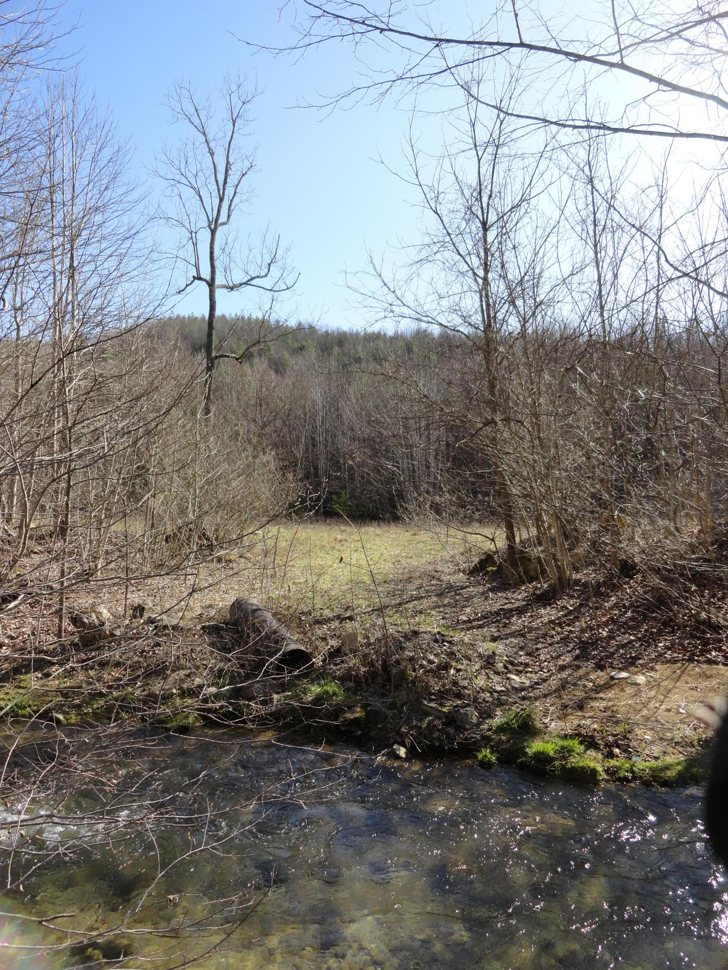 0 Falls Road Hot Springs, VA 24445 - Photo 28 of 37 Field Across