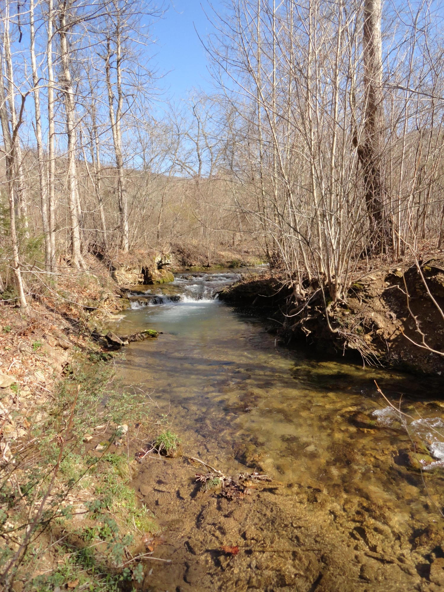 0 Falls Road Hot Springs, VA 24445 - Photo 32 of 37 Up Stream 3