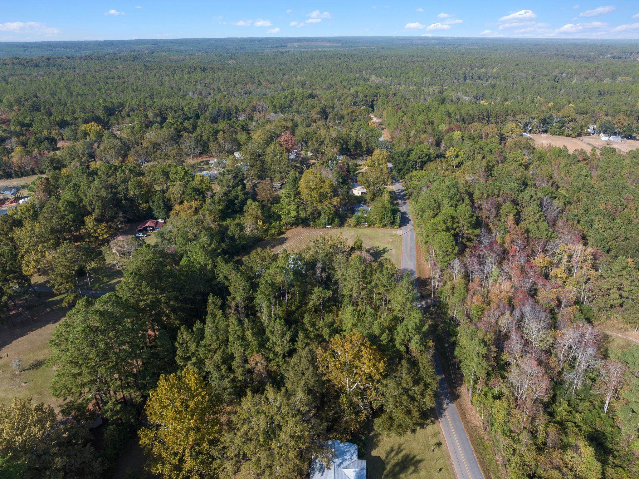 35741 Pine Road North Stapleton, AL 36578 - Photo 7 of 11