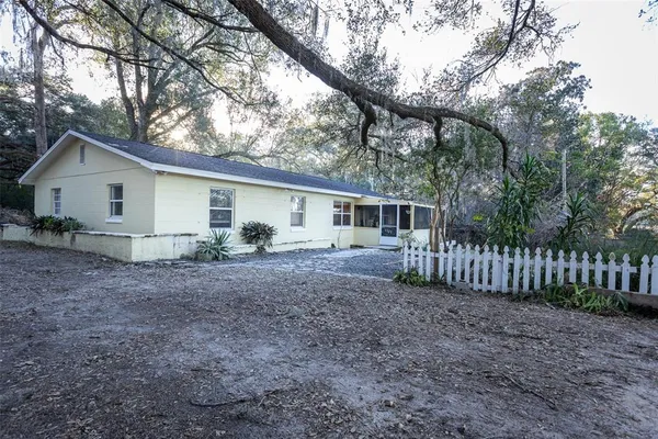 a view of a house with yard and a large tree