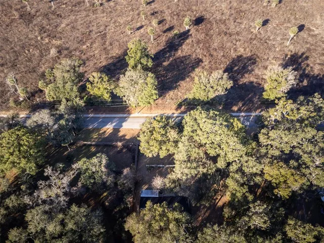 a view of a tree in a yard
