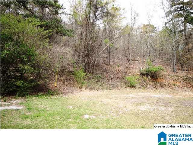 0 Pace Street Anniston, AL 36207 - Photo 24 of 28