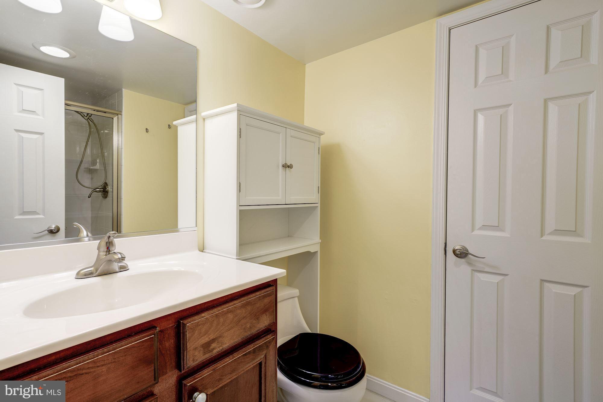 1515 South Arlington Ridge Road, Unit 205 Arlington, VA 22202 - Photo 16 of 30 Dual-entry 2nd/guest bathroom
