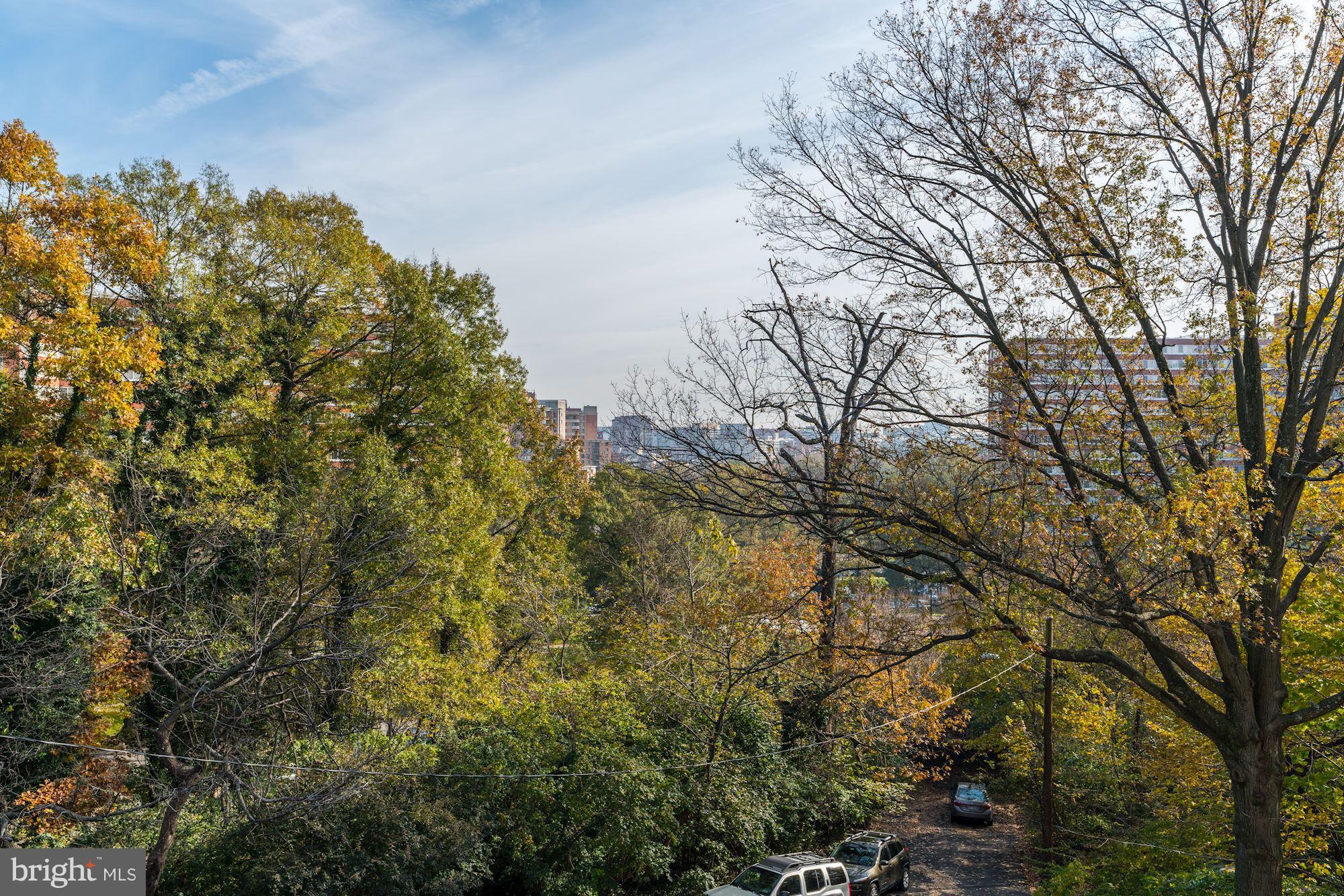 1515 South Arlington Ridge Road, Unit 205 Arlington, VA 22202 - Photo 25 of 30 Lush green views