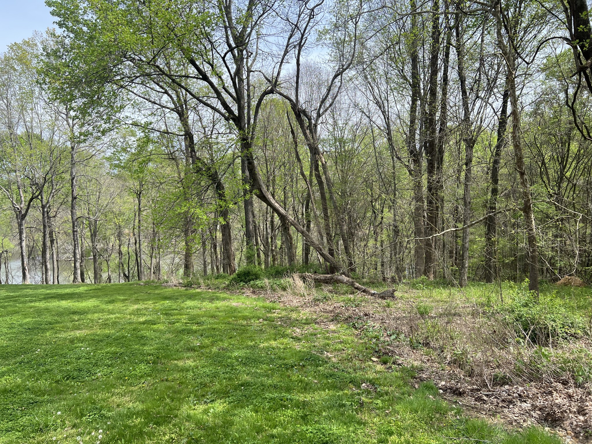 a big yard with lots of green space and trees