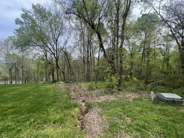 a big yard with lots of green space and deers