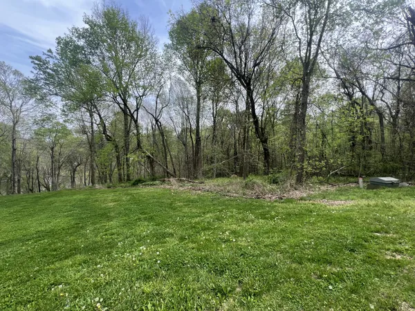 a view of outdoor space with green field and trees all around
