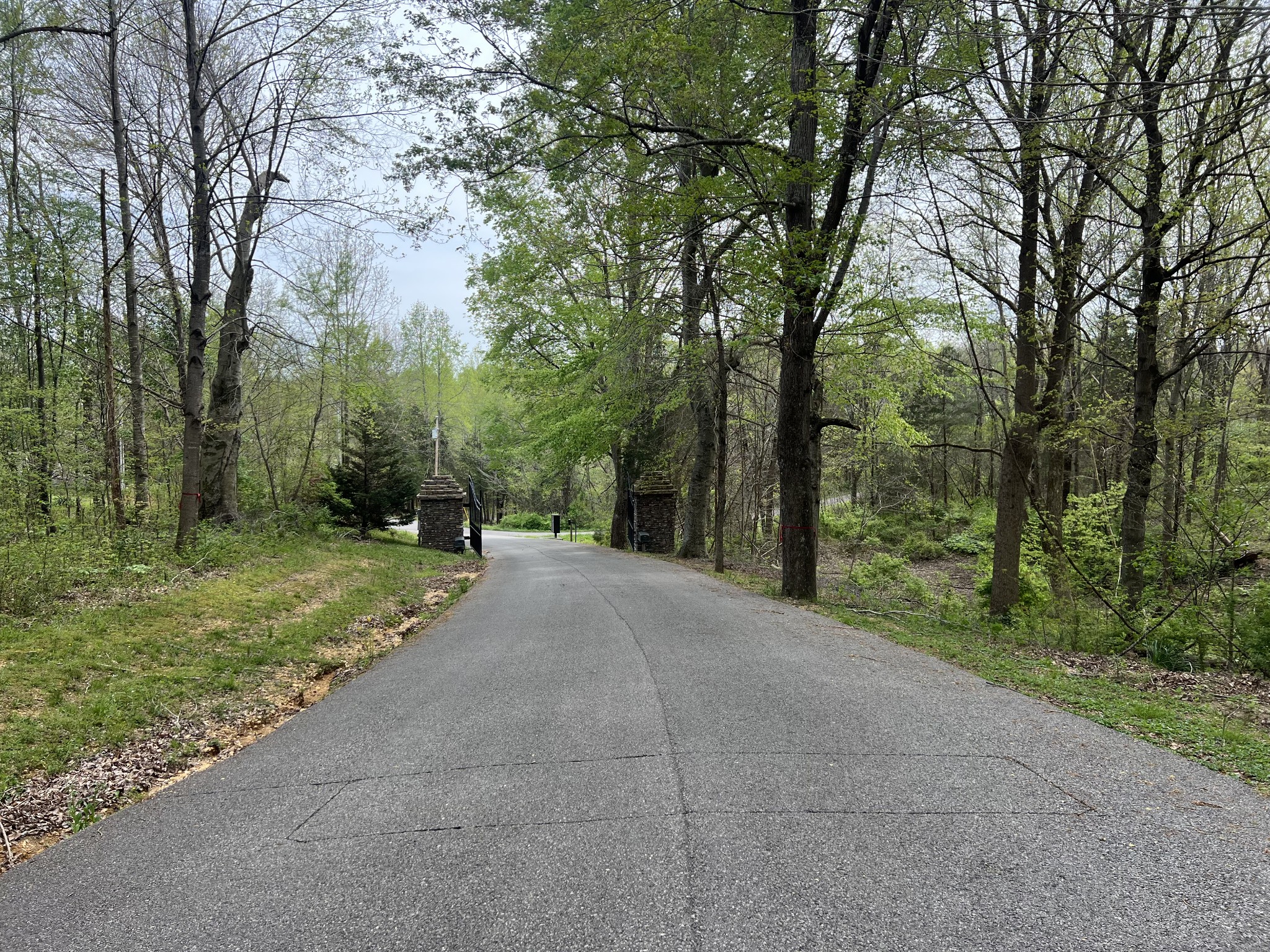 200 Lake Ridge Road Scottsville, KY 42164 - Photo 13 of 15 a view of a yard with trees