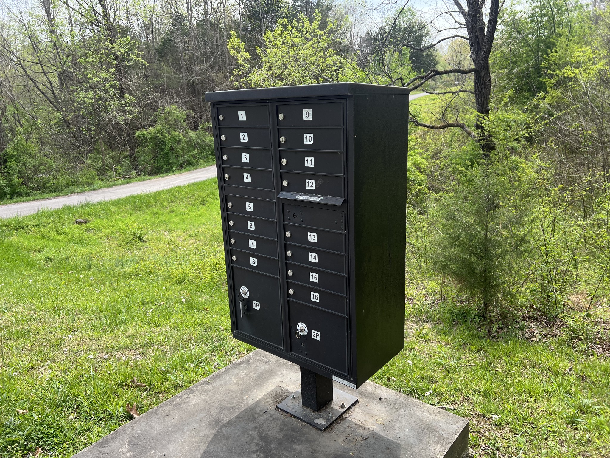 200 Lake Ridge Road Scottsville, KY 42164 - Photo 14 of 15 a view of outdoor space and garden
