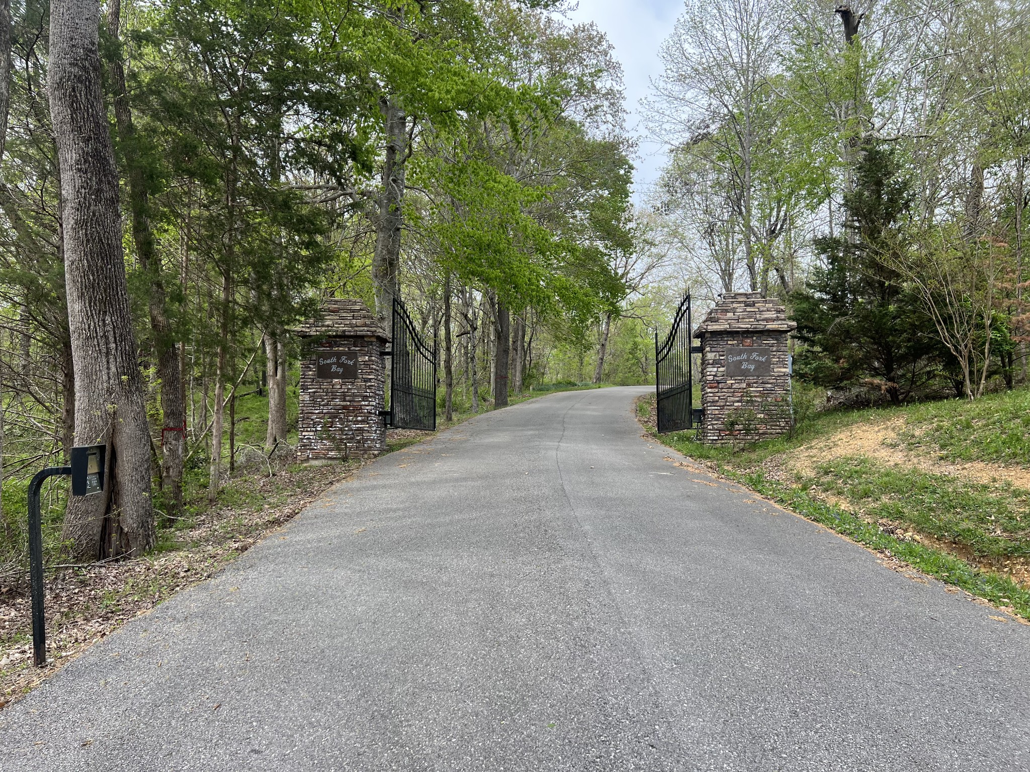 200 Lake Ridge Road Scottsville, KY 42164 - Photo 15 of 15 a view of a road with trees in front of it