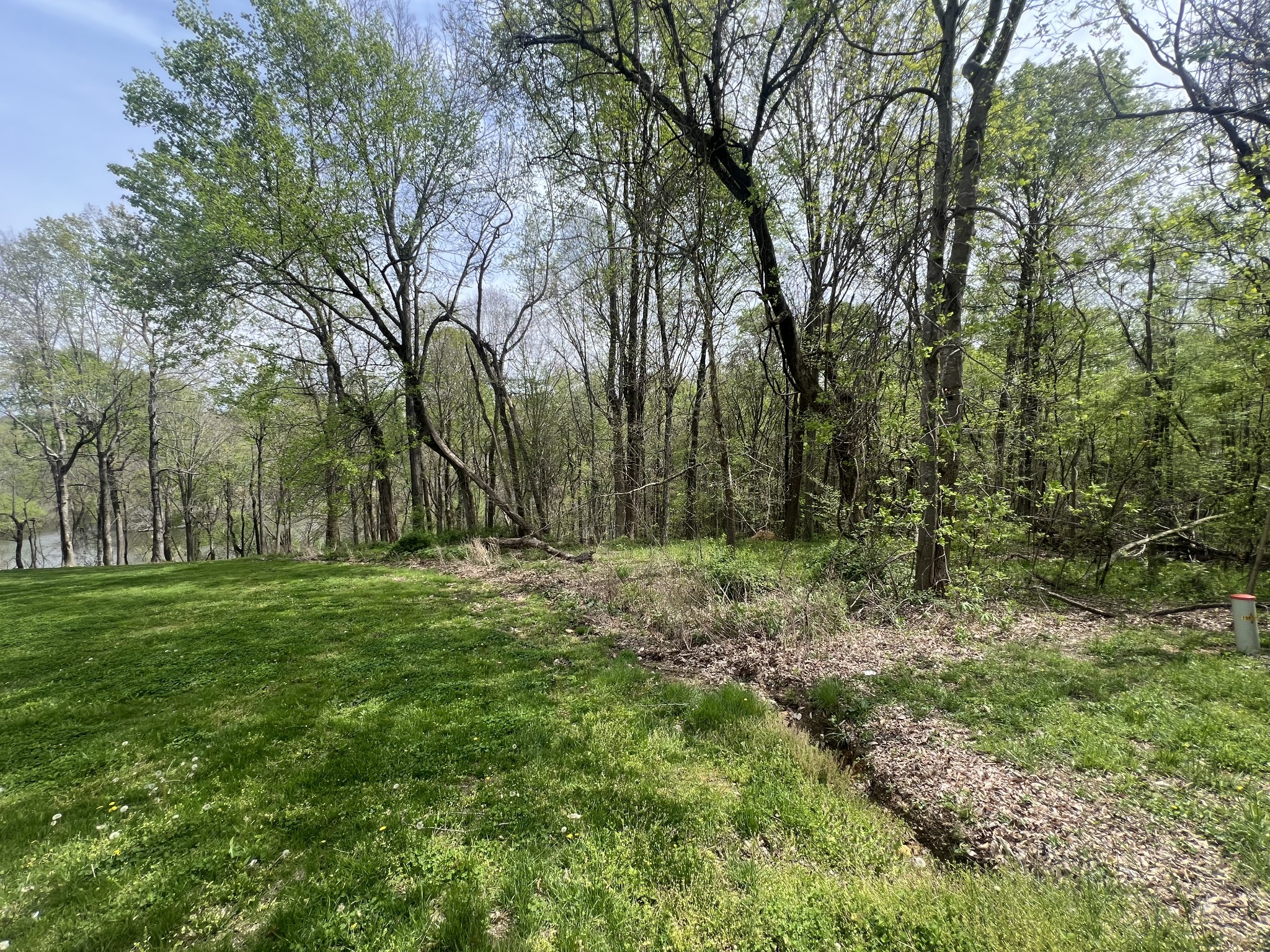 200 Lake Ridge Road Scottsville, KY 42164 - Photo 2 of 15 a view of outdoor space and yard