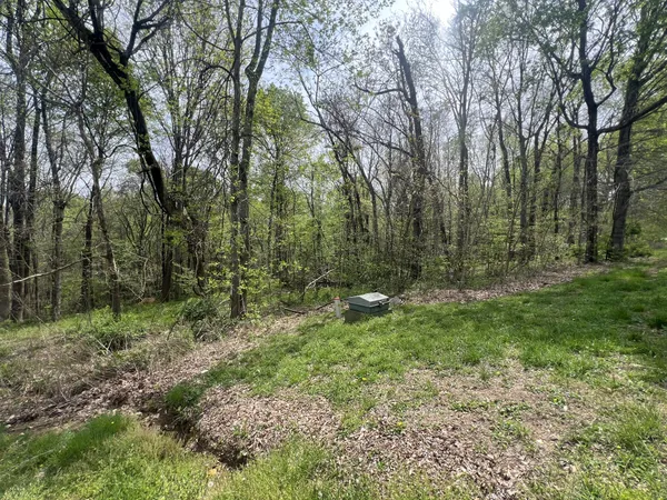 a view of outdoor space and green space