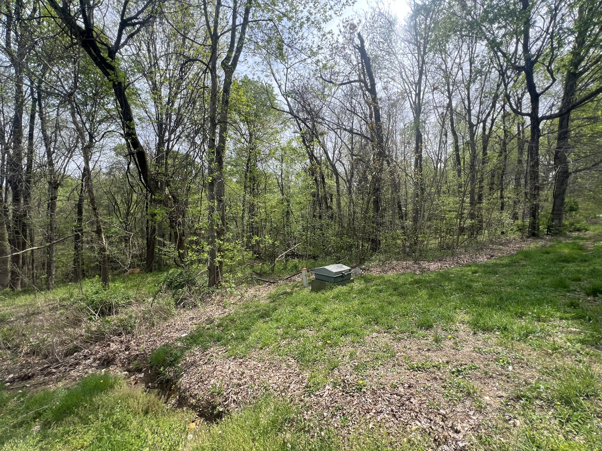 200 Lake Ridge Road Scottsville, KY 42164 - Photo 3 of 15 a view of outdoor space and green space