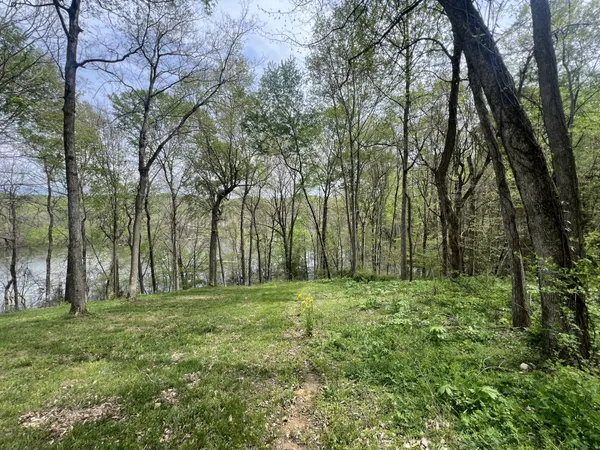 a big yard with lots of green space and trees