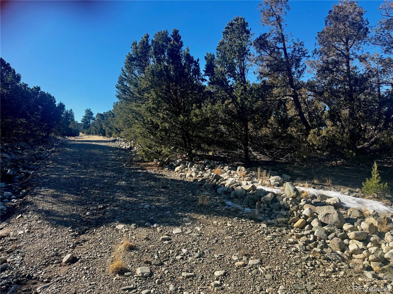 25 Moki Court Mosca, CO 81146 - Photo 11 of 20 a view of a yard with a tree