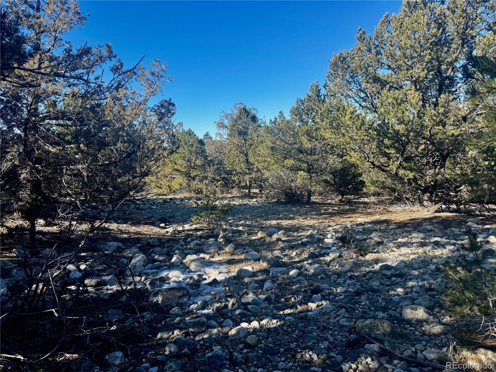 25 Moki Court Mosca, CO 81146 - Photo 12 of 20 a view of a large tree