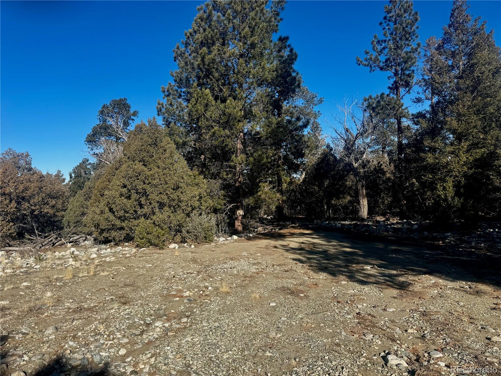 25 Moki Court Mosca, CO 81146 - Photo 15 of 20 a view of a yard with trees