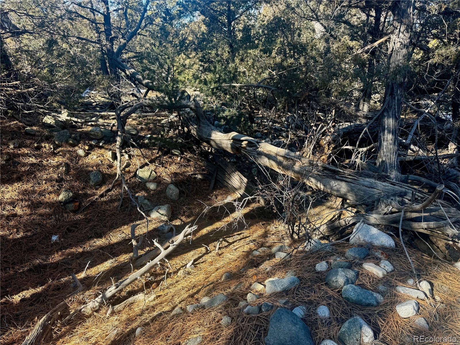 25 Moki Court Mosca, CO 81146 - Photo 16 of 20 a view of a tree