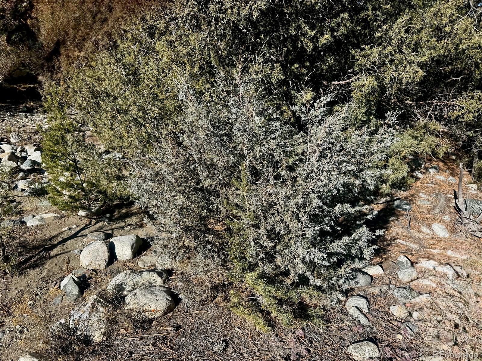 25 Moki Court Mosca, CO 81146 - Photo 17 of 20 a view of a yard