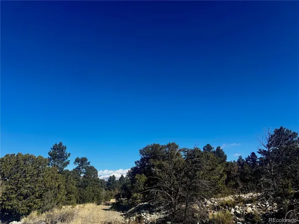 a view of a tree with a tree in the background