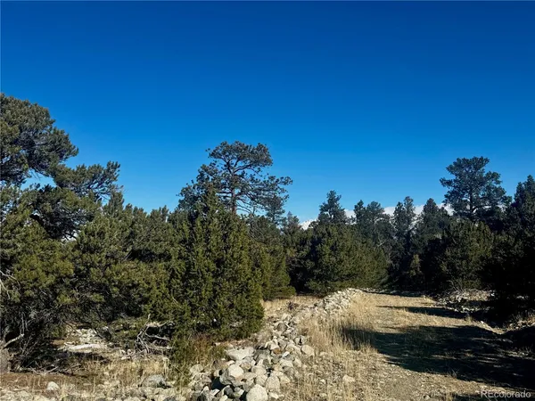 a view of a backyard of the house
