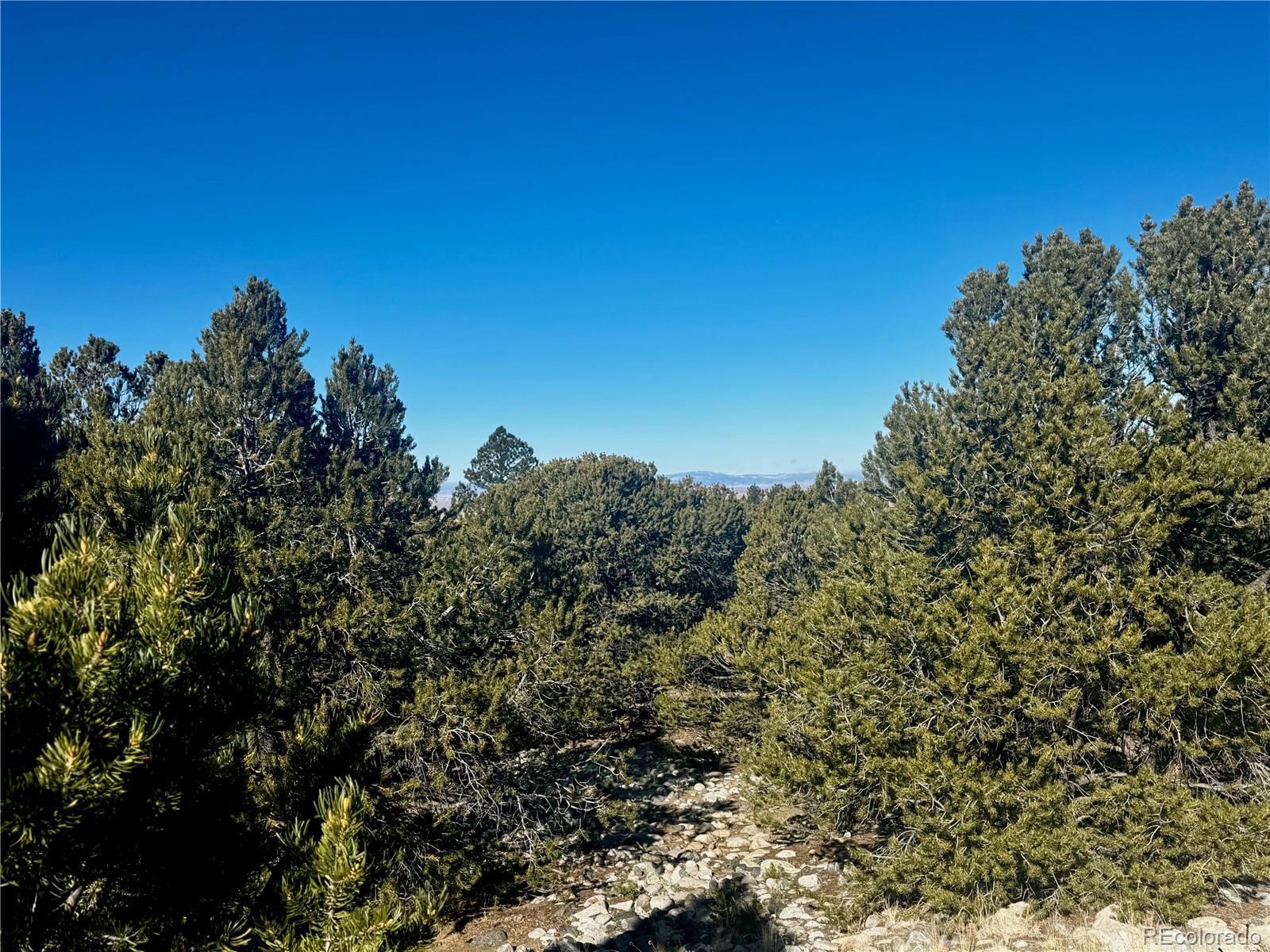 25 Moki Court Mosca, CO 81146 - Photo 4 of 20 a view of a tree with a tree in the background