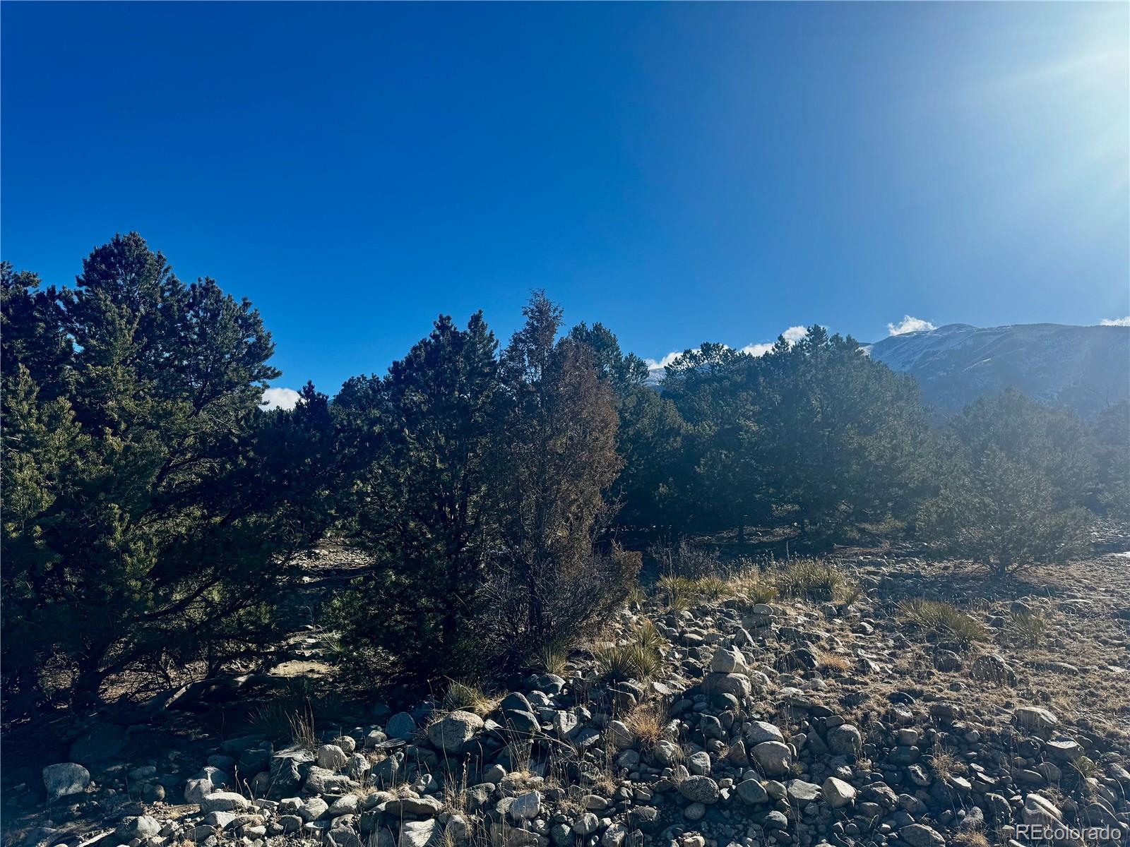 25 Moki Court Mosca, CO 81146 - Photo 5 of 20 a view of a yard