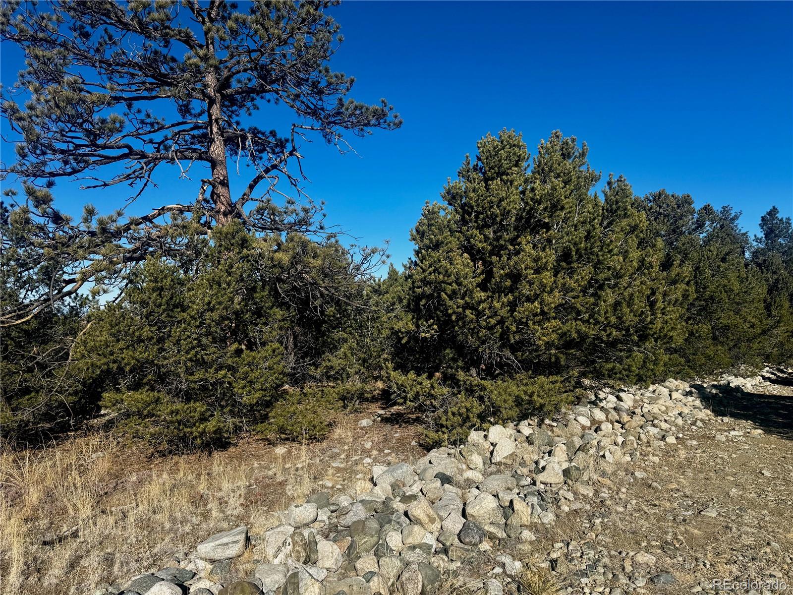 25 Moki Court Mosca, CO 81146 - Photo 6 of 20 a view of a yard with wooden fence