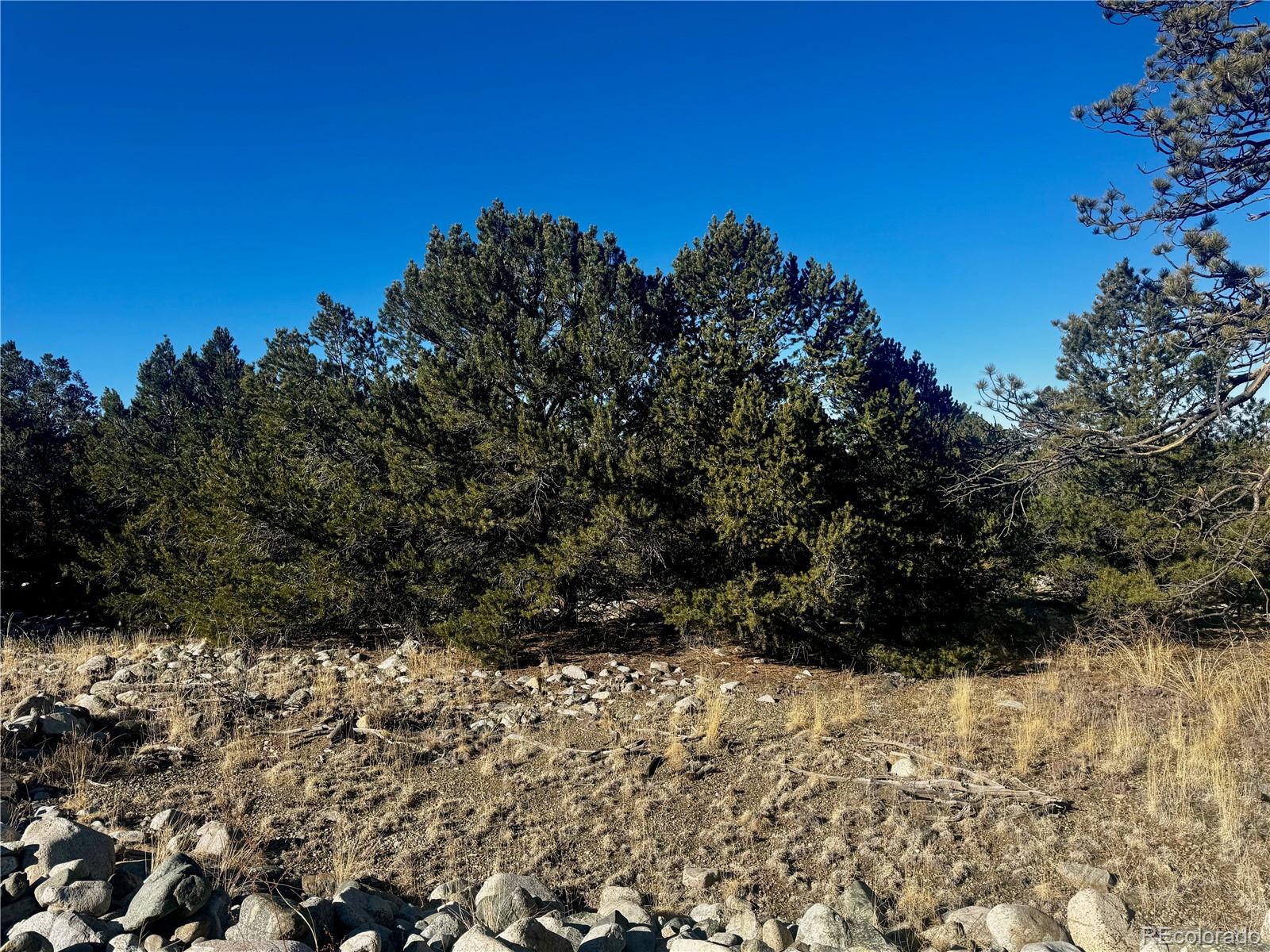 25 Moki Court Mosca, CO 81146 - Photo 7 of 20 a view of outdoor space and yard