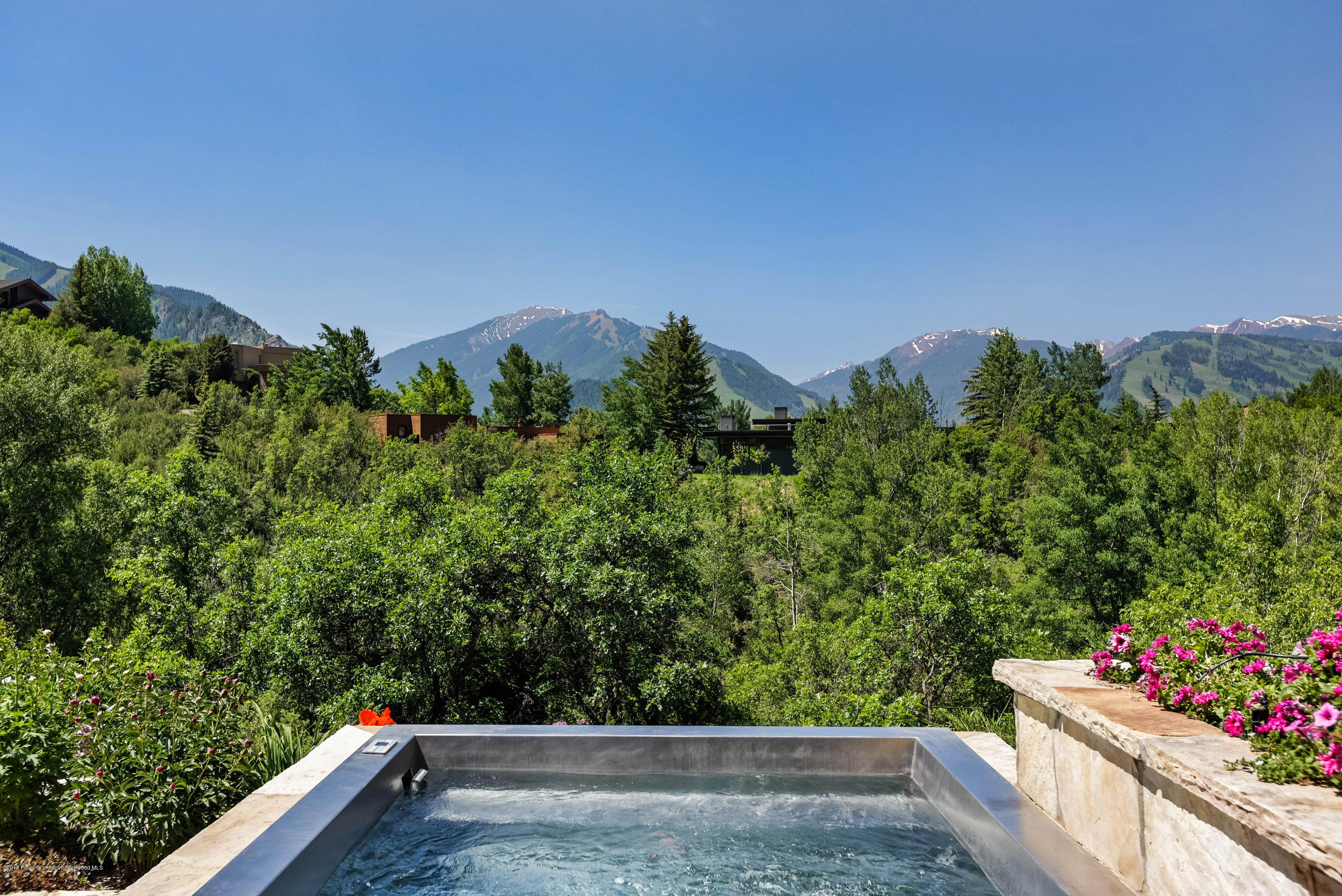 274 Draw Drive Aspen, CO 81612 - Photo 22 of 32 a view of a garden with plants and large trees