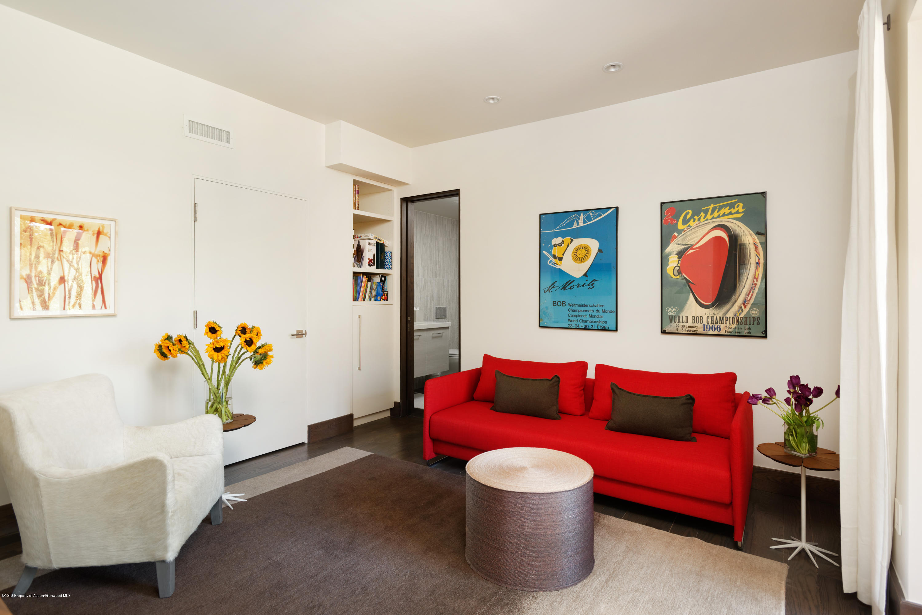 274 Draw Drive Aspen, CO 81612 - Photo 28 of 32 a living room with furniture and a white area