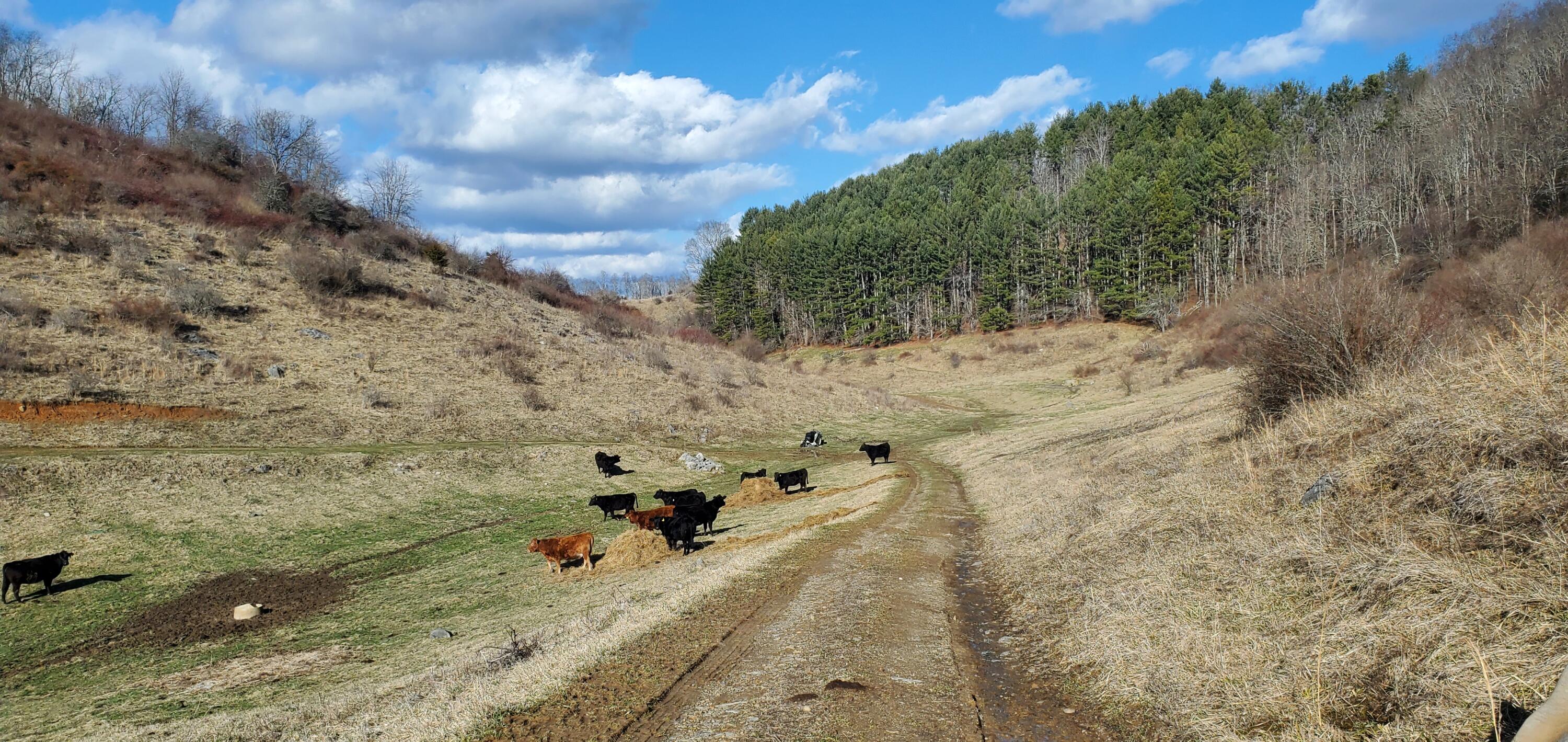 Davis Stuart Road Lewisburg, WV 24901 - Photo 23 of 72 Gallery Image 23