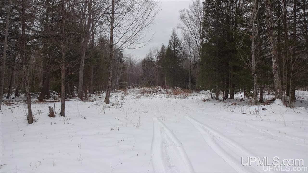 Tbd Winters/savola Road Trenary, MI 49891 - Photo 10 of 19