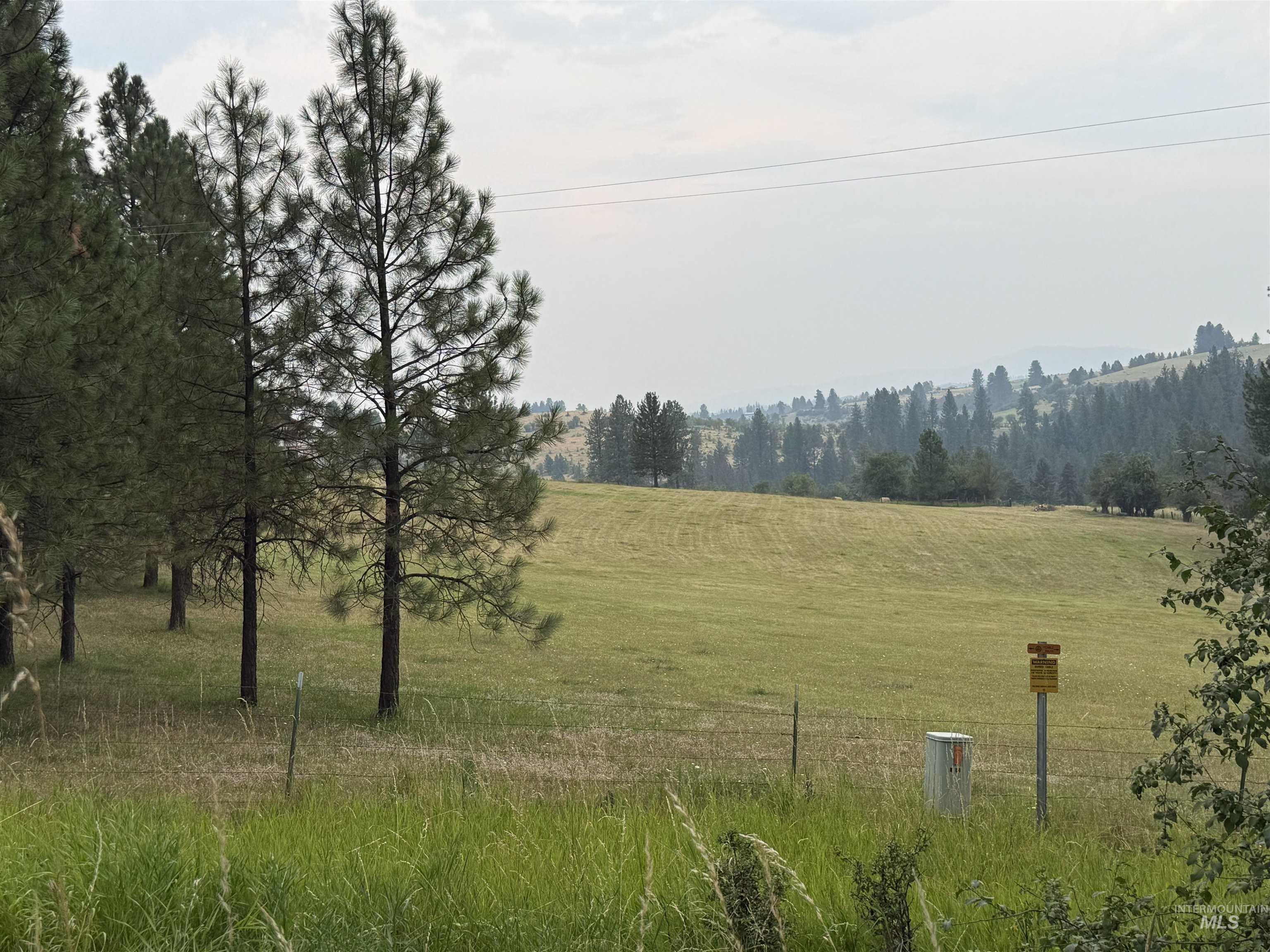 733 Pleasant Valley Road Stites, ID 83552 - Photo 42 of 46 Expansive green landscape featuring mature evergreen trees and rolling hills