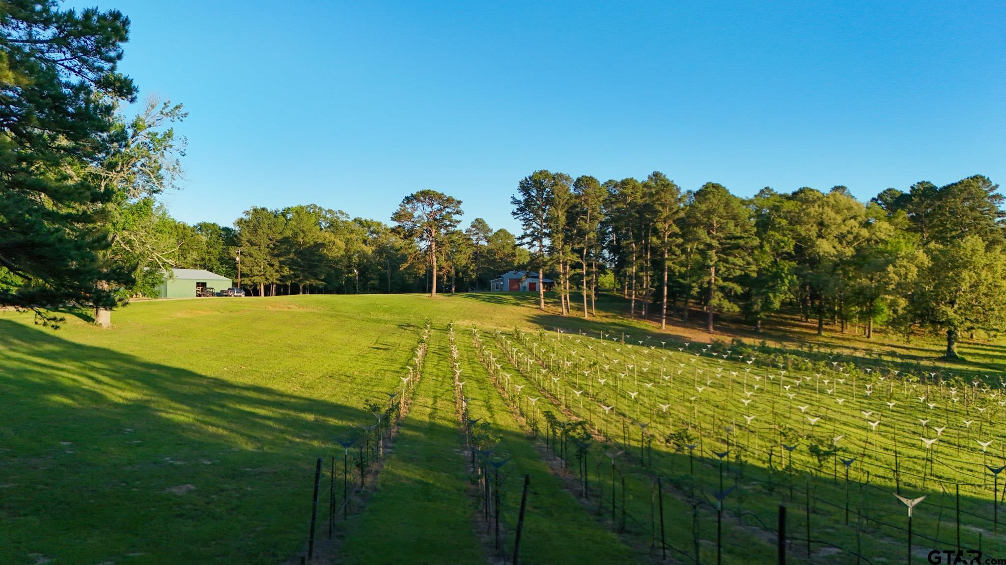 0 County Road 2680 Hawkins, TX 75765 - Photo 13 of 38