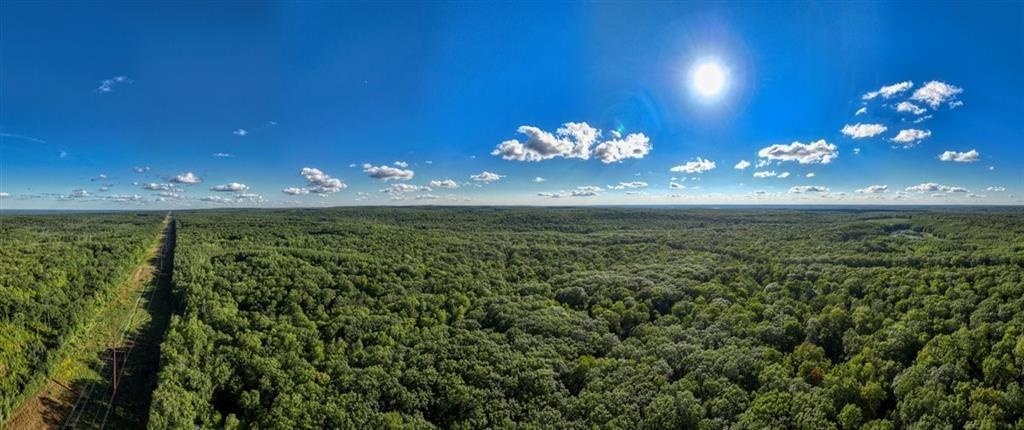 2351-acres County Hwy C & Comet Rd 2351-acres County Highway Exeland, WI 54835 - Photo 11 of 60