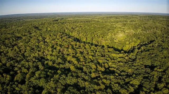 $7,493,400 | 2351-acres County Hwy C & Comet Rd 2351-acres County Highway, Exeland, WI 54835