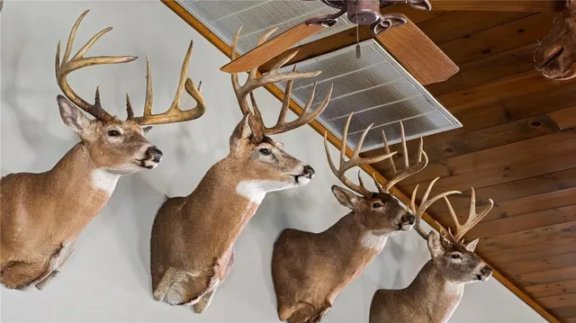 $7,493,400 | 2351-acres County Hwy C & Comet Rd 2351-acres County Highway, Exeland, WI 54835