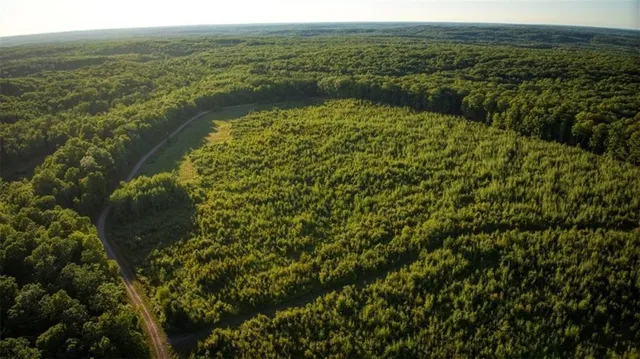 $7,493,400 | 2351-acres County Hwy C & Comet Rd 2351-acres County Highway, Exeland, WI 54835