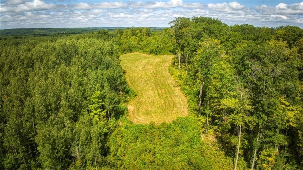2351-acres County Hwy C & Comet Rd 2351-acres County Highway Exeland, WI 54835 - Photo 31 of 60