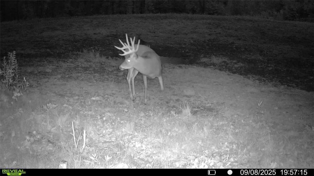 2351-acres County Hwy C & Comet Rd 2351-acres County Highway Exeland, WI 54835 - Photo 35 of 60