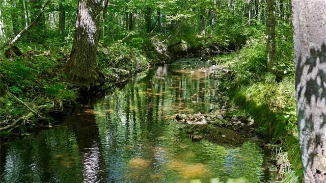 $7,493,400 | 2351-acres County Hwy C & Comet Rd 2351-acres County Highway, Exeland, WI 54835