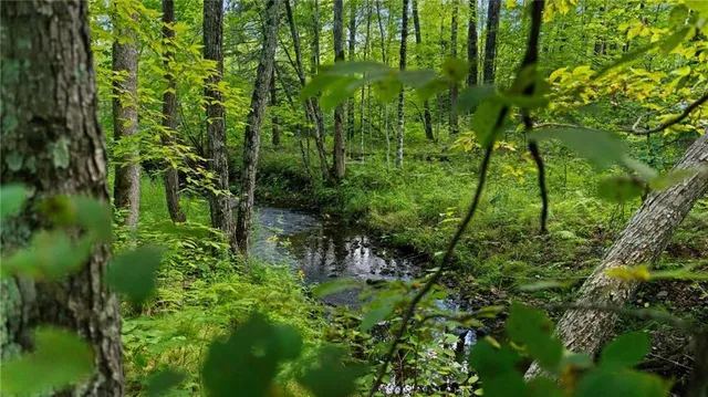 $7,493,400 | 2351-acres County Hwy C & Comet Rd 2351-acres County Highway, Exeland, WI 54835